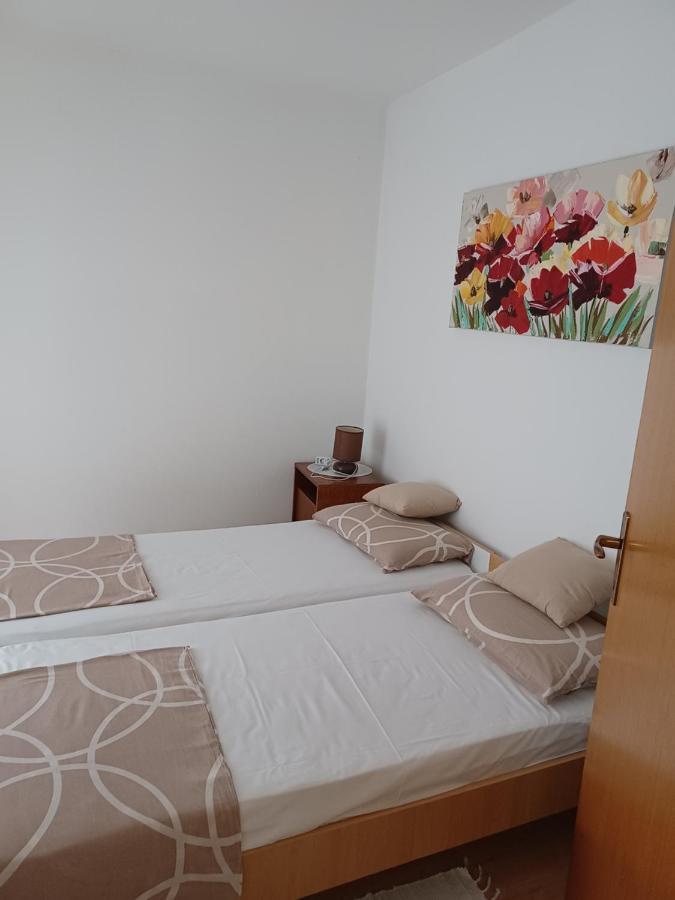 Apartments Vesna Nova Vas  Exterior photo